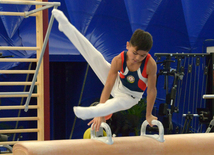 Bakıda kişi idman gimnastikası üzrə çoxnövçülükdə yarışlar başlayıb. Azərbaycan, 5 dekabr 2015